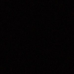 Meet your Posher, Lissa